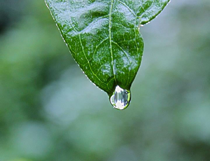 ddos攻击防御手段