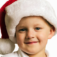 自动攻击网站工具下载